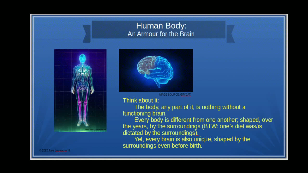 Human Body: An Armour for the Brain